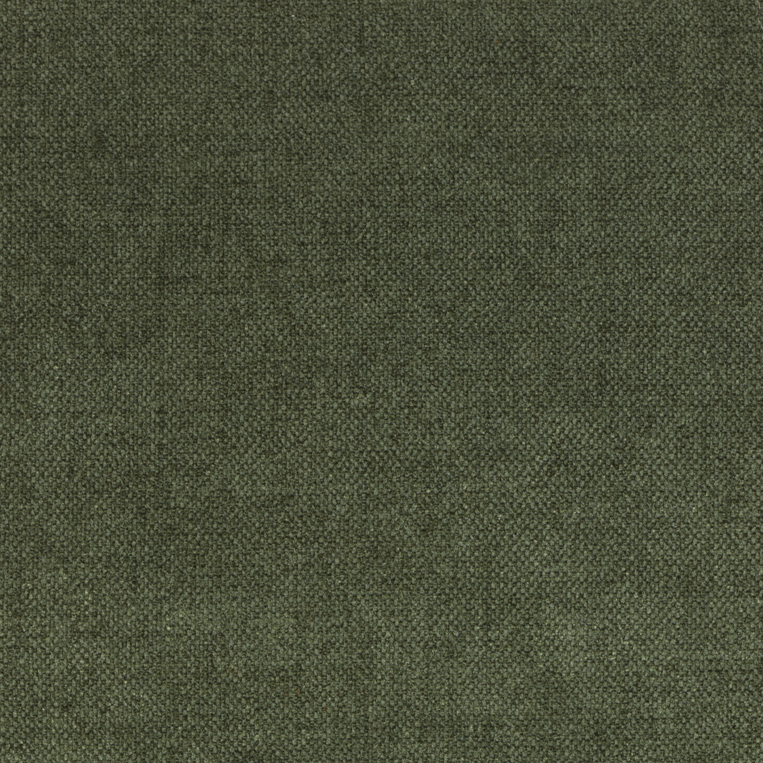 Fabric Sample - Velvety Green