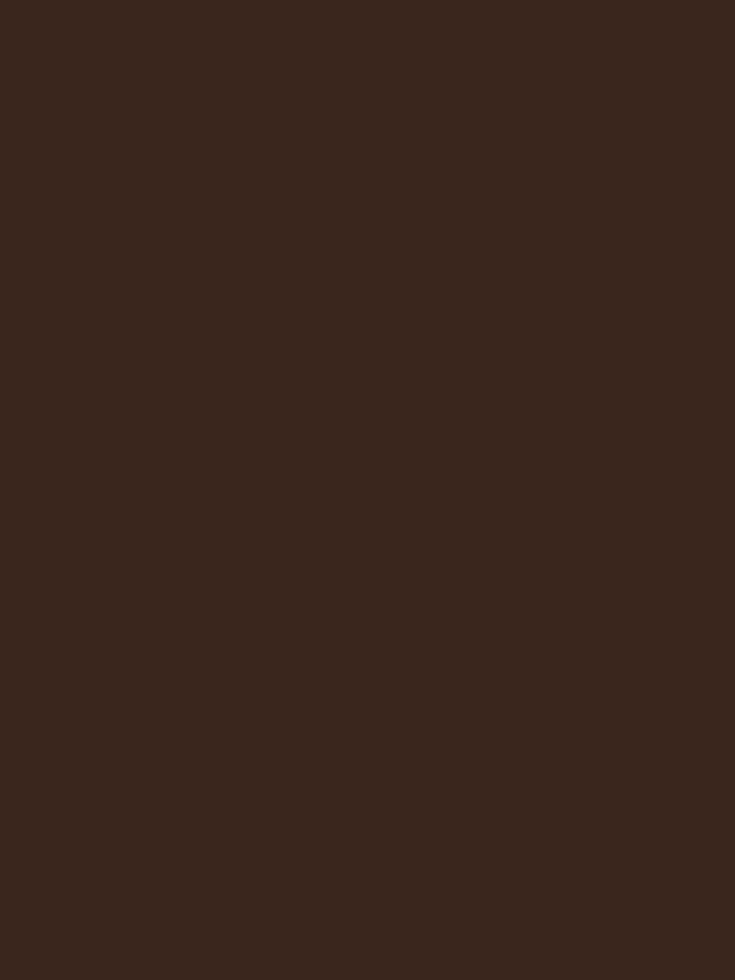 10m Chocolate Brown Wrapping Paper