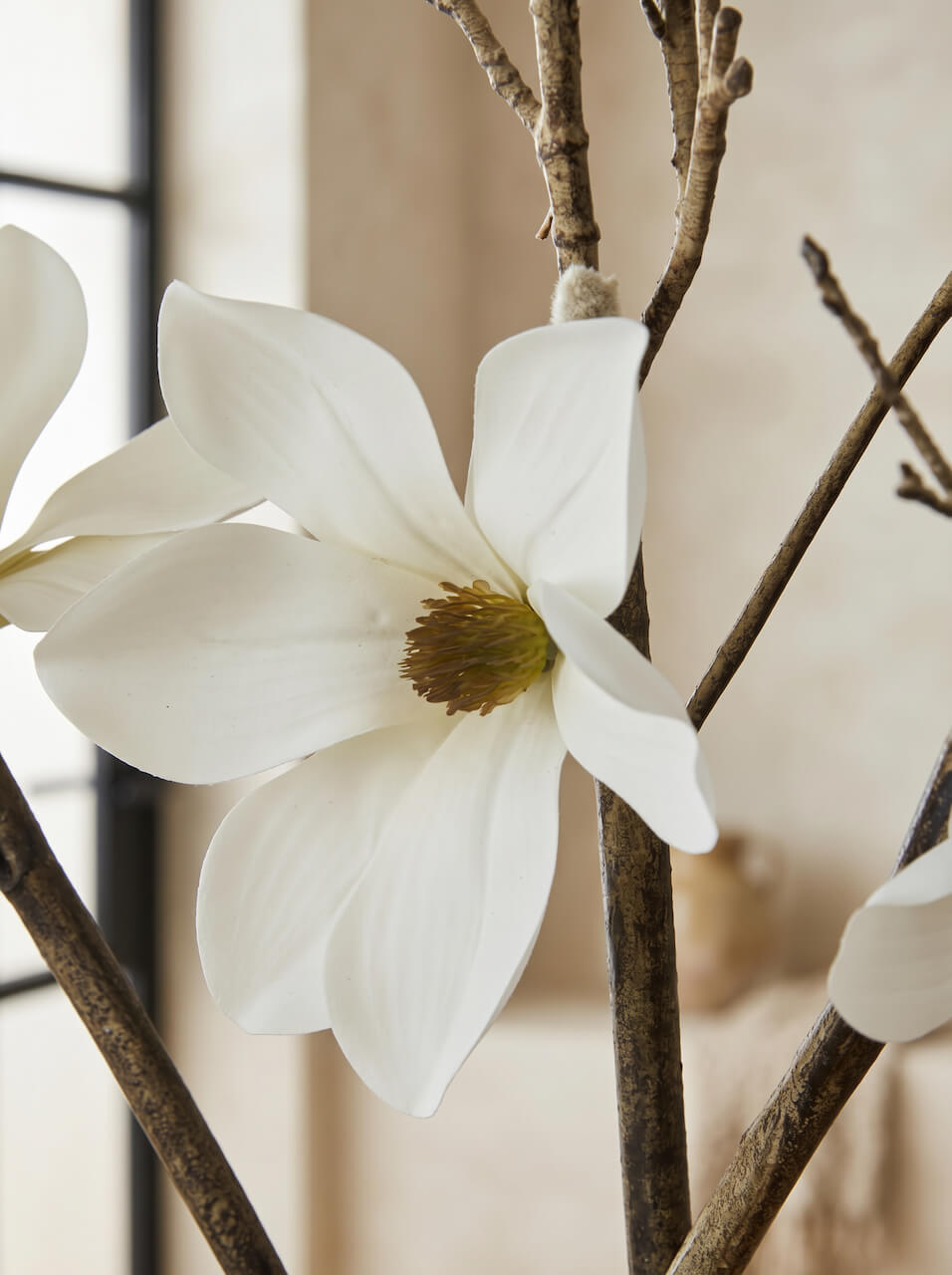 Close-up of a white flower with brown branches against a neutral background