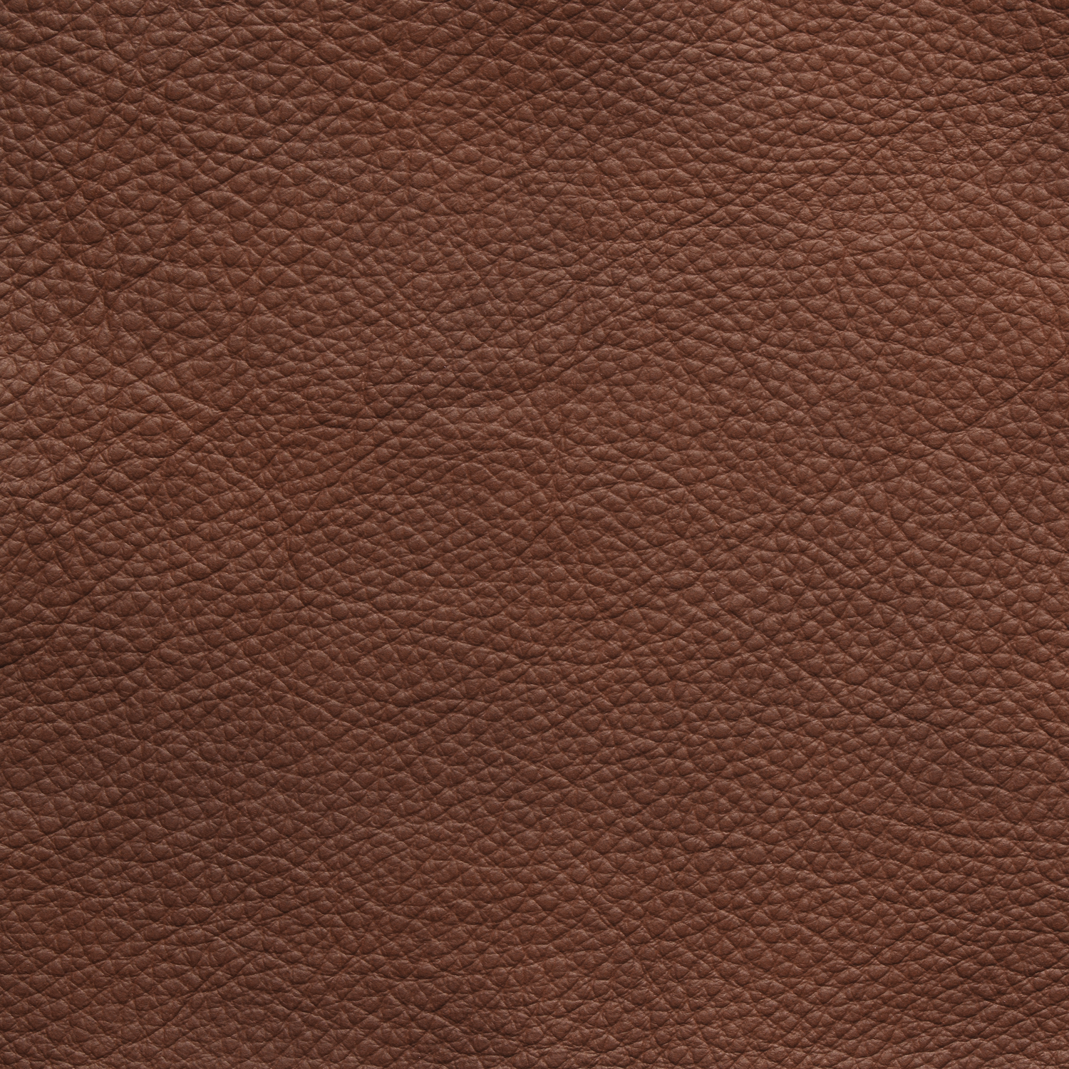 Fabric Sample - Leather - Cognac