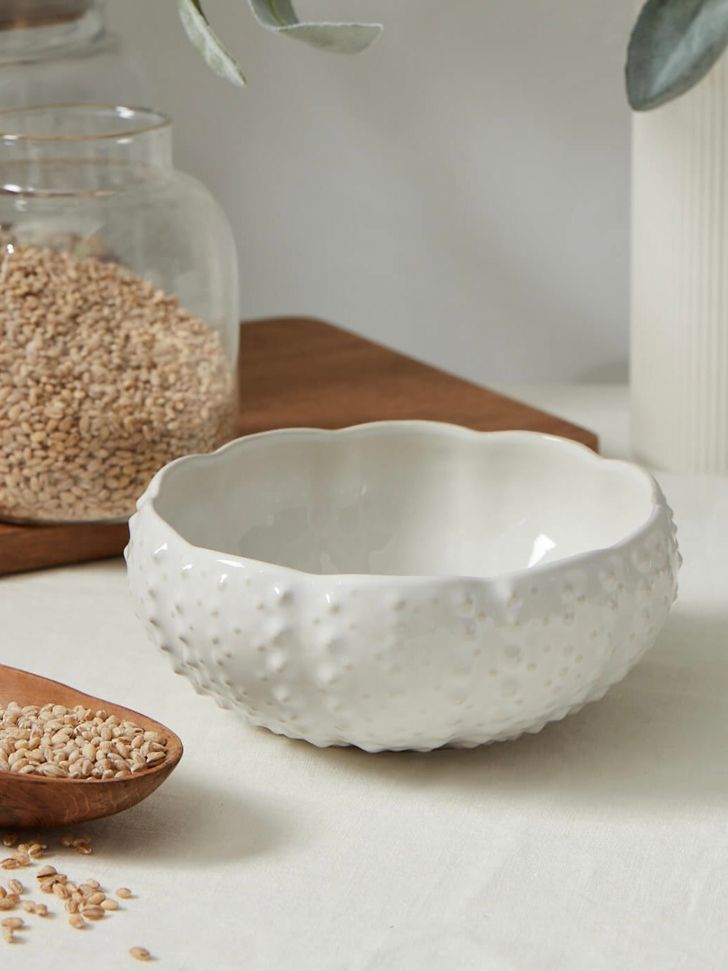 Shell Bowl